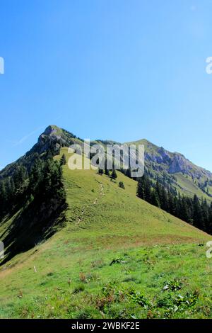 Vue de Gröbner Hals à Sonntagsspitze 1926m en arrière-plan, vous pouvez voir Schreckenspitze 2022m, Bächental, Eben am Achensee, Tyrol, Autriche Banque D'Images