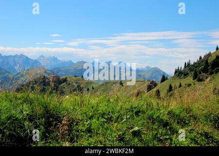 Randonnée à Gröbner Hals, vue estivale sur le Lochalm et Tiefenbachalm dans la vallée de Bächental, les montagnes Karwendel vous accueillent dans le backgro Banque D'Images