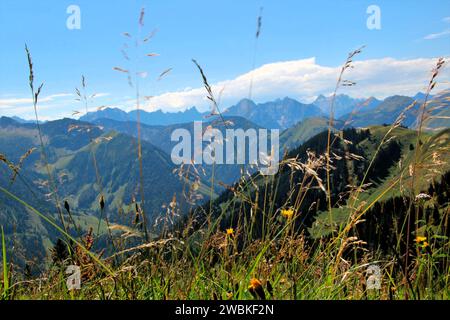 Randonnée à Gröbner Hals, vue estivale retour à Lochalm et Tiefenbachalm dans la vallée de Bächental, les montagnes Karwendel vous accueillent en arrière-plan, mun Banque D'Images