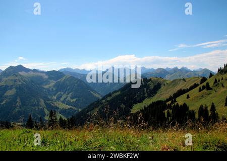 Randonnée à Gröbner Hals, vue estivale retour à Lochalm et Tiefenbachalm dans la vallée de Bächental, les montagnes Karwendel vous accueillent en arrière-plan, Man Banque D'Images