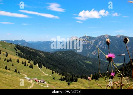 Vue de Gröbner Hals dans Unterautal, cabane alpine avec route, Guffert peut être vu en arrière-plan, Bächental, Eben am Achensee, Tyrol, Autriche Banque D'Images