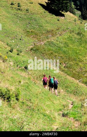 Groupe de randonnée de 4 femmes, du Tiefenbachalm à Bächental sur la montée à Gröbner Hals, Eben am Achensee, Tyrol, Autriche Banque D'Images