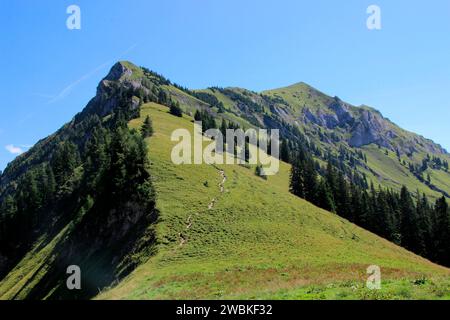 Vue de Gröbner Hals à Sonntagsspitze 1926m en arrière-plan, vous pouvez voir Schreckenspitze 2022m, Bächental, Eben am Achensee, Tyrol, Autriche Banque D'Images