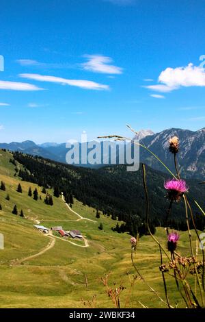 Vue de Gröbner Hals dans Unterautal, cabane alpine avec route, Guffert peut être vu en arrière-plan, Bächental, Eben am Achensee, Tyrol, Autriche Banque D'Images