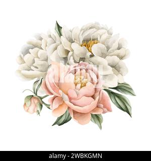 Composition de fleurs de pivoine fuzz blanche et pêche, bourgeons et feuilles vertes. Illustration aquarelle florale peinte à la main isolée sur fond blanc. PE Banque D'Images