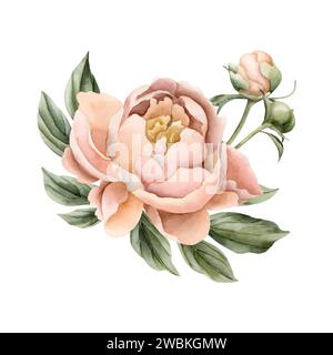 Composition de fleur de pivoine fuzz pêche, bourgeons et feuilles vertes. Illustration aquarelle florale peinte à la main isolée sur fond blanc. Parfait pour W Banque D'Images