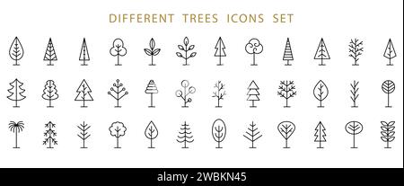 Jeu d'icônes de ligne arborescente. Collection Vector logo Shapes Illustration de Vecteur