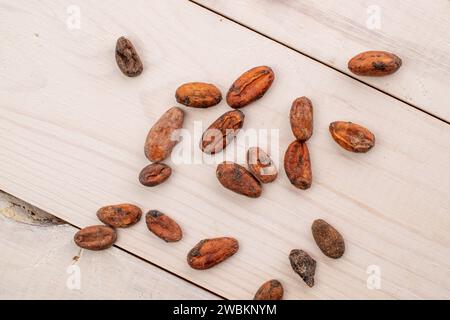Plusieurs fèves de cacao sur une table en bois, macro, vue de dessus. Banque D'Images