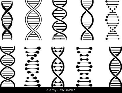 Ensemble d'icônes ADN. Le modèle de gène de vie bio code génétique molécule symboles médicaux. Molécule de structure, icône chromosomique. Pictogramme de vecteur d'ADN, génétique si Illustration de Vecteur