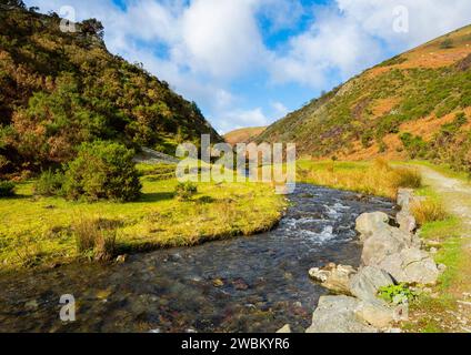 Quinny Brook passe par cendres creux, près de Little Stretton, Shropshire. Banque D'Images