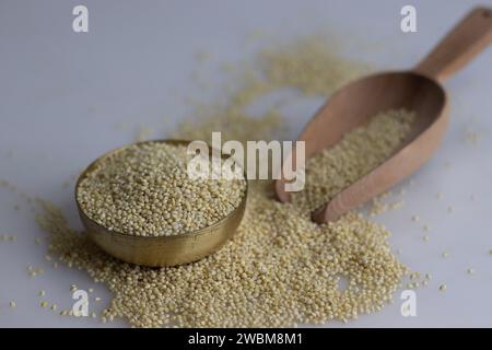 Gros plan de millet proso sain, présenté dans un bol en laiton doré, entouré de grains de millet éparpillés sur une cuillère à grain en bois. A wholesome et n Banque D'Images