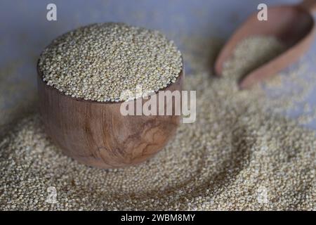 Gros plan de millet proso sain, présenté dans un bol en bois rustique, entouré de grains de millet doré éparpillés sur une cuillère à grain en bois. Un wholeso Banque D'Images