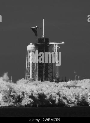 Dans cette image infrarouge noir et blanc, une fusée SpaceX Falcon 9 avec le vaisseau spatial Crew Dragon de la société à bord est vue sur la rampe de lancement du Launch Complex 39a après un bref essai de tir statique avant la mission SpaceX Demo-2 de la NASA, vendredi 22 mai 2020, au Kennedy Space Center de la NASA en Floride. La mission SpaceX Demo-2 de la NASA est le premier lancement avec des astronautes du vaisseau spatial SpaceX Crew Dragon et de la fusée Falcon 9 vers la Station spatiale internationale dans le cadre du programme commercial Crew de l’agence. Le vol d’essai sert de démonstration de bout en bout du système de transport de l’équipage de SpaceX Banque D'Images