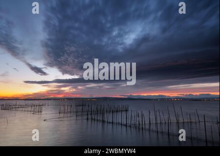 Photographie d'un paysage avec des filets de pêcheurs et des roseaux dans l'eau lors d'un coucher de soleil sur le lac Albufera à Valence, Espagne. Banque D'Images