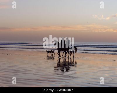 Cavaliers et chiens sur la plage de sable humide au coucher du soleil à Essaouira, Maroc, 11 janvier 24 Banque D'Images