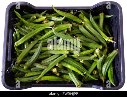 La photo montre la vitrine de magasin de trucs de jardin avec des boîtes en plastique d'affichage remplies de fruits d'okra. Banque D'Images