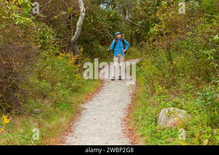 Sentier de randonnée, Trustom Pond National Wildlife Refuge, Rhode Island Banque D'Images