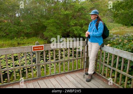 La plate-forme d'observation sur l'étang de ferme, Trustom Pond National Wildlife Refuge, Rhode Island Banque D'Images