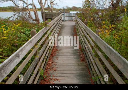 Sur la plate-forme d'observation, Otter Point Trustom Pond National Wildlife Refuge, Rhode Island Banque D'Images