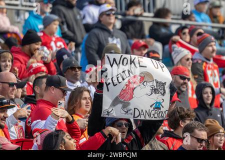 Charlotte, Caroline du Nord États-Unis : une image générale des supporters acclamant lors d'un match de la NFL entre les Panthers de Caroline et les Buccaneers de Tampa Bay à Bank of America S. Banque D'Images