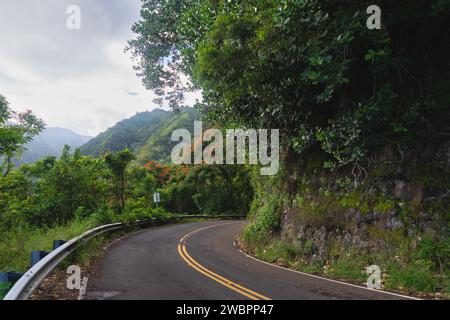 Explorez l'essence de Maui sur la route emblématique de Hana, où chaque virage révèle la beauté luxuriante et le charme tranquille de l'île Banque D'Images