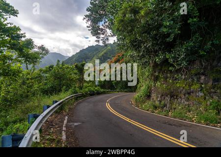 Explorez l'essence de Maui sur la route emblématique de Hana, où chaque virage révèle la beauté luxuriante et le charme tranquille de l'île Banque D'Images