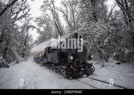 Budapest, Hongrie - beau vieux moteur de réservoir nostalgique (train pour enfants) sur la piste de la forêt enneigée de Buda Hills près de Csilleberc en décembre Banque D'Images