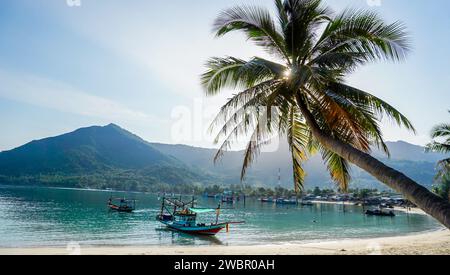 vacances, plage, été et loisirs concept de cocotiers avec hamac sur la plage vue coucher du soleil. Resort tropical avec coucher de soleil près de la plage. Banque D'Images