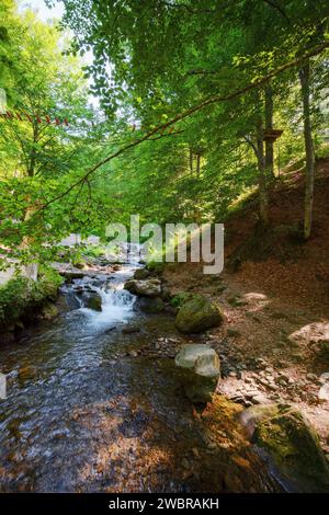 ruisseau d'eau shypit de la rivière pylypets dans la forêt de hêtres des montagnes des carpates. paysage avec petites cascades et pierres. matin ensoleillé en été Banque D'Images