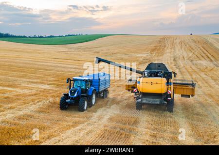 La faucheuse de la moissonneuse-batteuse achemine les grains de blé dans une remorque de tracteur en attente. Le soleil plonge sous l'horizon Banque D'Images