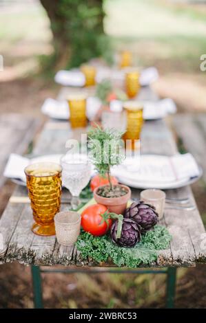 Repas coloré de la ferme à la table dans le pays rural Banque D'Images