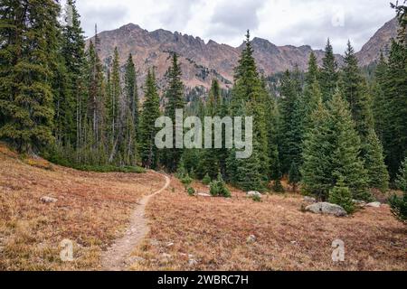 Sentier de randonnée dans Eagles Nest Wilderness, Colorado Banque D'Images