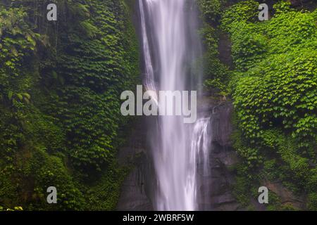 Vue aérienne de la cascade de Sekumpul sur l'île de Bali, Indonésie Banque D'Images