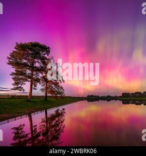 Une vue colorée des aurores boréales se reflète dans le réservoir Whittle Dene dans le Northumberland sous un ciel clair d'hiver Banque D'Images