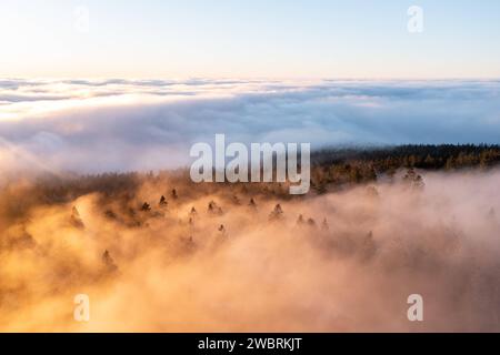 Sonnenaufgang über den Wolken Die Höhenlagen des Taunus rund UM den Großen Feldberg ragen am Morgen aus einem Nebelmeer, Teile der Landschaft sind mit Raureif bedeckt., Schmitten Hessen Deutschland *** lever de soleil au-dessus des nuages le matin, les hauteurs du Taunus autour du Großer Feldberg se lèvent d'une mer de brouillard, des parties du paysage sont couvertes de frise, Schmitten Hesse Allemagne Banque D'Images