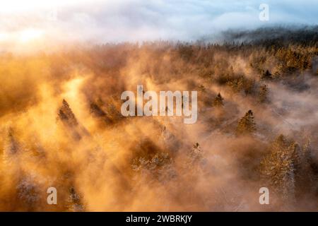 Sonnenaufgang über den Wolken Die Höhenlagen des Taunus rund UM den Großen Feldberg ragen am Morgen aus einem Nebelmeer, Teile der Landschaft sind mit Raureif bedeckt., Schmitten Hessen Deutschland *** lever de soleil au-dessus des nuages le matin, les hauteurs du Taunus autour du Großer Feldberg se lèvent d'une mer de brouillard, des parties du paysage sont couvertes de frise, Schmitten Hesse Allemagne Banque D'Images