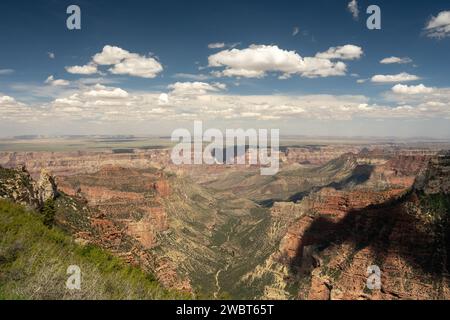 Les couleurs vert vif se fondent dans les rochers orange le long de la rive nord du Grand Canyon Banque D'Images