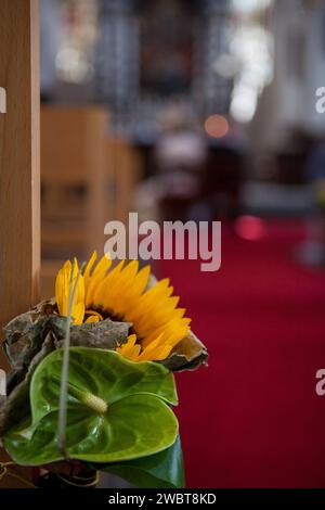 Cette image capture la beauté et la simplicité d'un seul tournesol placé dans un cadre d'église. La photographie, prise avec une faible profondeur de champ, brouille l'arrière-plan et se concentre sur les pétales jaune vif du tournesol, qui se distinguent par les tons sourds de l'intérieur de l'église. L'élément naturel de la fleur introduit un contraste vibrant avec l'atmosphère solennelle et traditionnelle de l'église, avec l'éclairage doux des fenêtres laissant entendre l'ambiance sereine d'un lieu de culte calme. Foyer intime : perspective d'un tournesol dans le culte. Photo de haute qualité Banque D'Images