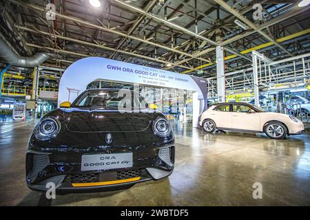 Rayong, Thaïlande. 12 janvier 2024. Les voitures électriques ORA Good Cat sont vues à l'usine de fabrication de Great Wall Motors (GWM) à Rayong, en Thaïlande, le 12 janvier 2024. Le constructeur automobile chinois GWM voit le premier véhicule électrique sortir de la chaîne de production en Thaïlande vendredi, faisant une percée significative en tant que premier véhicule électrique pur produit localement. Crédit : Wang Teng/Xinhua/Alamy Live News Banque D'Images