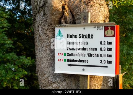 Kanonenplatz Schanze Stiege Harz Banque D'Images