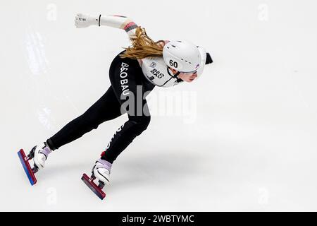 Gdansk, Pologne. 12 janvier 2024. GDANSK, POLOGNE - 12 JANVIER : Lisa Eckstein, allemande, participe au quart de finale du relais par équipes mixtes lors des Championnats d'Europe de patinage de vitesse sur courte piste de l'ISU à Hala Olivia le 12 janvier 2024 à Gdansk, Pologne. (Photo Andre Weening/Orange Pictures) crédit : dpa/Alamy Live News Banque D'Images