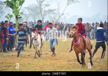 Sylhet, Bangladesh. 12 janvier 2024. Un concours de chevaux ruraux a été organisé par les villageois de Sauder Gaon, Jawabazar Union, Chatak Thana, district de Sunamganj de la division de Sylhet. Environ 50-60 chevaux de Chatak Thana ont participé à cette compétition. Ce jeu est organisé chaque année par les villageois dans la saison d'hiver après la récolte de paddy est terminée dans le mois du calendrier bengali d'Agrahayan pour maintenir la culture des jeux ruraux traditionnels. Le 12 janvier 2024 Sylhet, Bangladesh (photo de MD Rafayat Haque Khan/Eyepix Group/Sipa USA) crédit : SIPA USA/Alamy Live News Banque D'Images