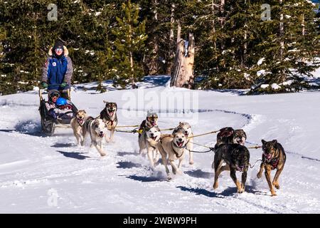 Femme musher ; père et deux enfants passagers ; équipe de traîneaux à chiens voyageant près de Monarch Pass ; montagnes Rocheuses ; Colorado central ; États-Unis Banque D'Images