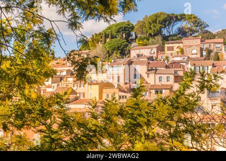 Vue panoramique sur le petit village de Bormes les Mimosas dans le sud de la France avec des mimosas jaunes fleurissant sous le soleil chaud de l'hiver Banque D'Images