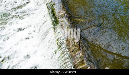 Eau en cascade au-dessus du déversoir montrant de l'eau blanche moussante Banque D'Images