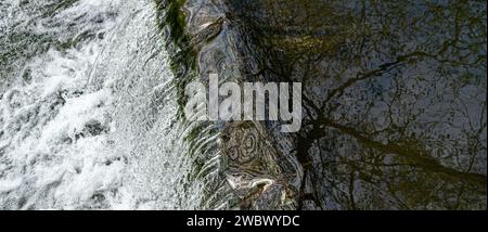 Eau en cascade au-dessus du déversoir montrant de l'eau blanche moussante Banque D'Images