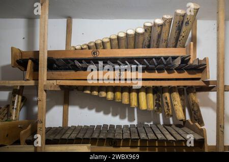 La Fondation Tumac œuvre depuis 50 ans à préserver les connaissances traditionnelles des communautés d’ascendance africaine dans le Pacifique Sud colombien Banque D'Images