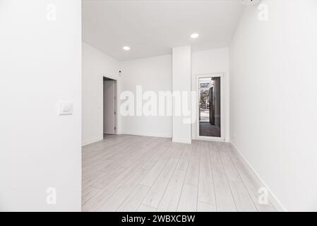 Une maison de style loft nouvellement installée avec parquet gris clair, portes en verre et en aluminium blanc et lampes intégrées au plafond Banque D'Images