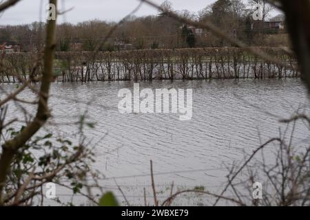 Cookham, Royaume-Uni. 12 janvier 2024. L'Agence pour l'environnement a été dans le village de Cookham cette semaine pompant les eaux de crue dans les champs. Le village de Cookham, dans le Berkshire, commence lentement à se dessécher après que la Tamise ait éclaté ses rives le week-end dernier. Les niveaux de la rivière baissent enfin. Maintenant, le nettoyage coûteux commencera par les résidents et le Royal Borough of Windsor & Maidenhead. Crédit : Maureen McLean/Alamy Banque D'Images