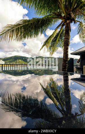 Reflets de palmiers - Cyril B. Romney Tortola Pier Park, Road Town, Tortola, Îles Vierges britanniques Banque D'Images